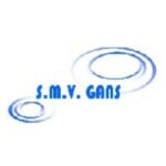 SMV GANS